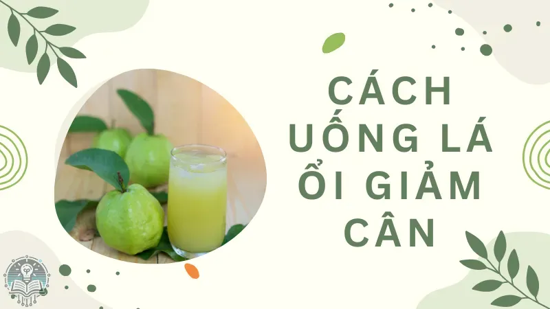 cách uống lá ổi giảm cân 3