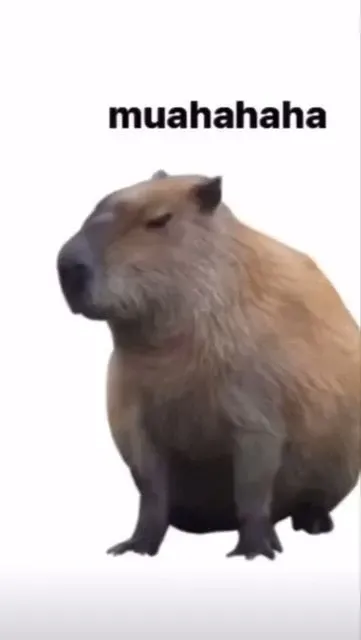 capybara meme 10