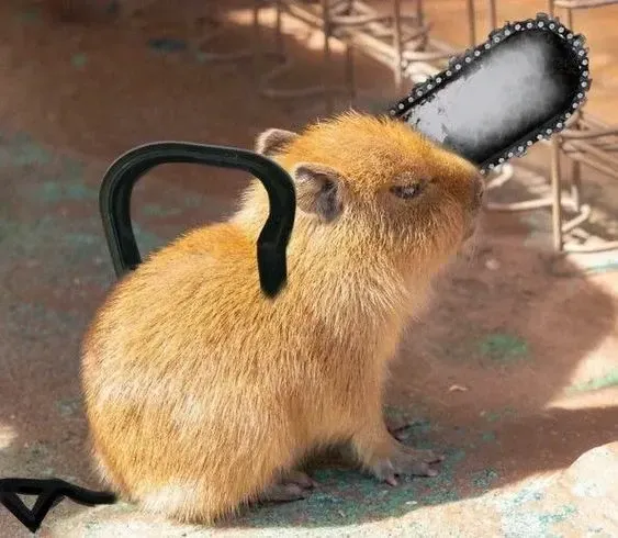 capybara meme 29