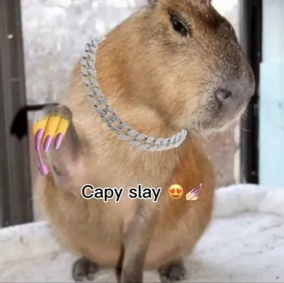 capybara meme 36