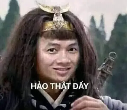 đa tạ meme 32