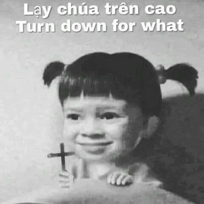 đa tạ meme 35