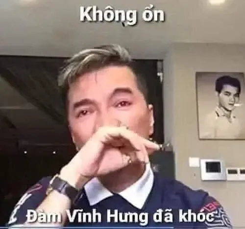 đàm vĩnh hưng meme 4