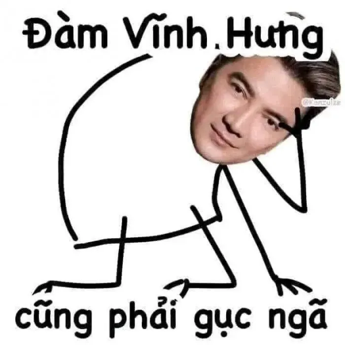 đàm vĩnh hưng meme 24