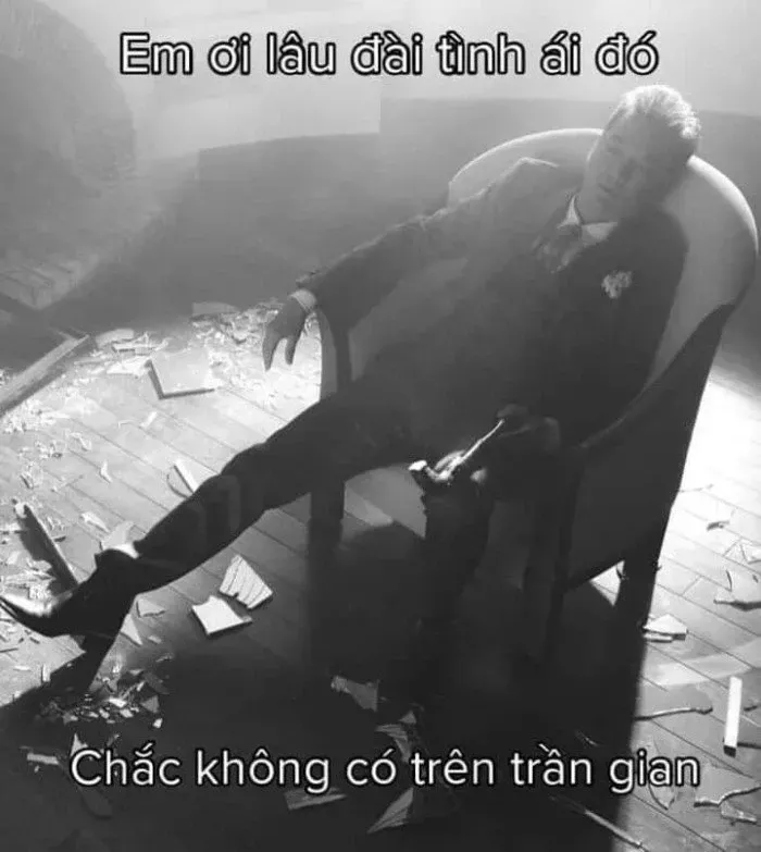 đàm vĩnh hưng meme 35