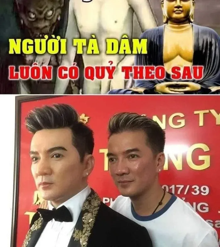 đàm vĩnh hưng meme 39