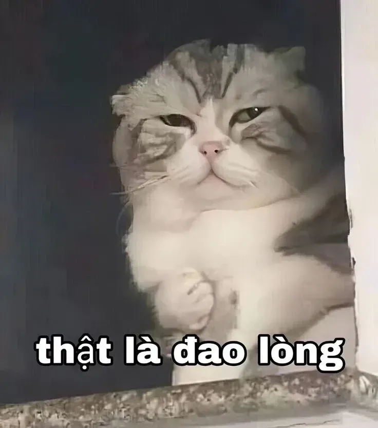 đau ở đây này meme 4