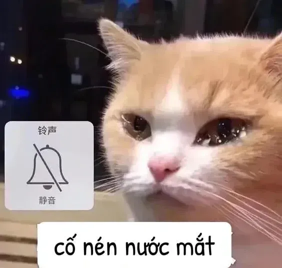 đau ở đây này meme 6