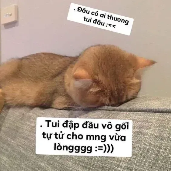 đau ở đây này meme 18