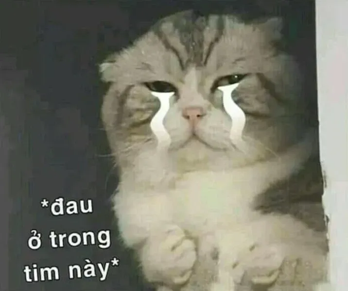 đau ở đây này meme 37