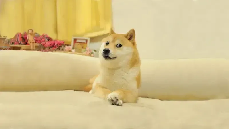 doge meme 3