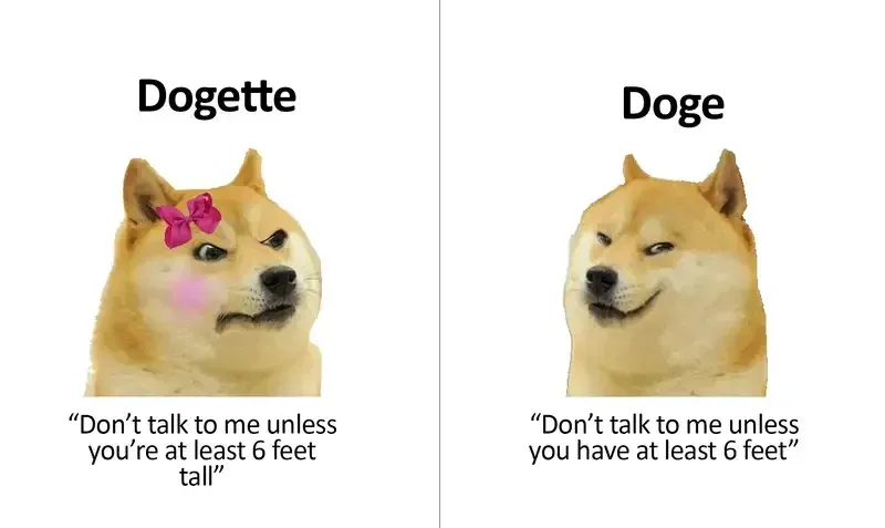 doge meme 4