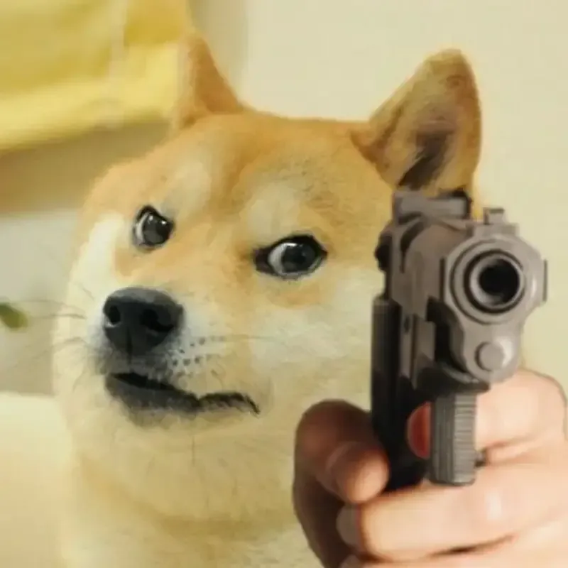 doge meme 24