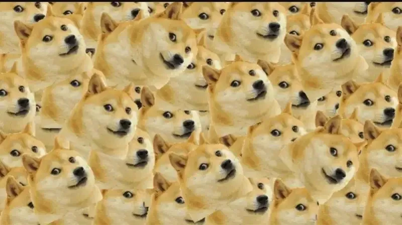 doge meme 34