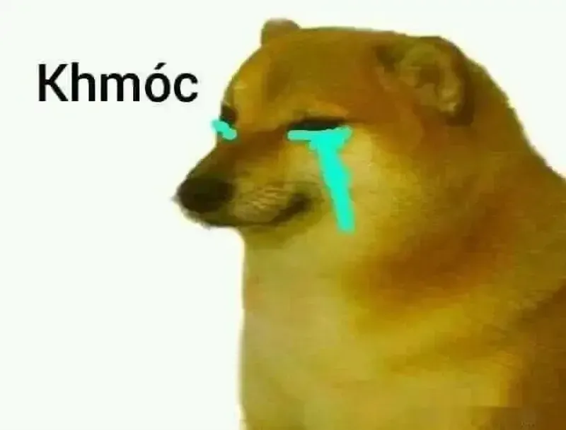 doge meme 44