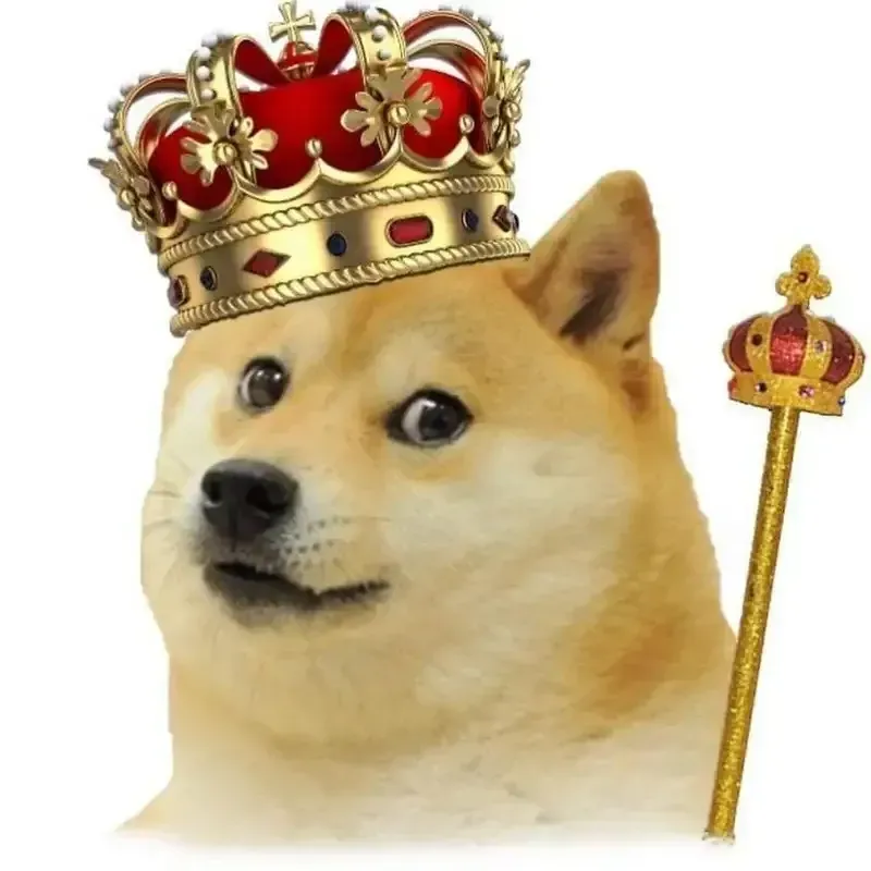 doge meme 49