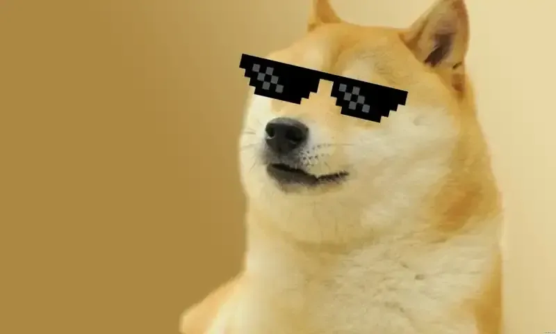 doge meme 52