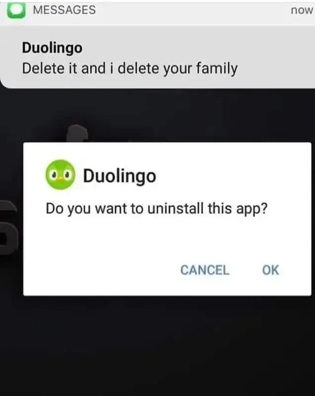 duolingo meme 19