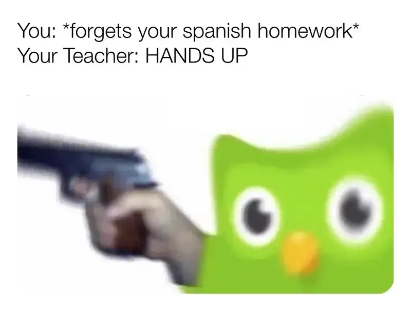 duolingo meme 24