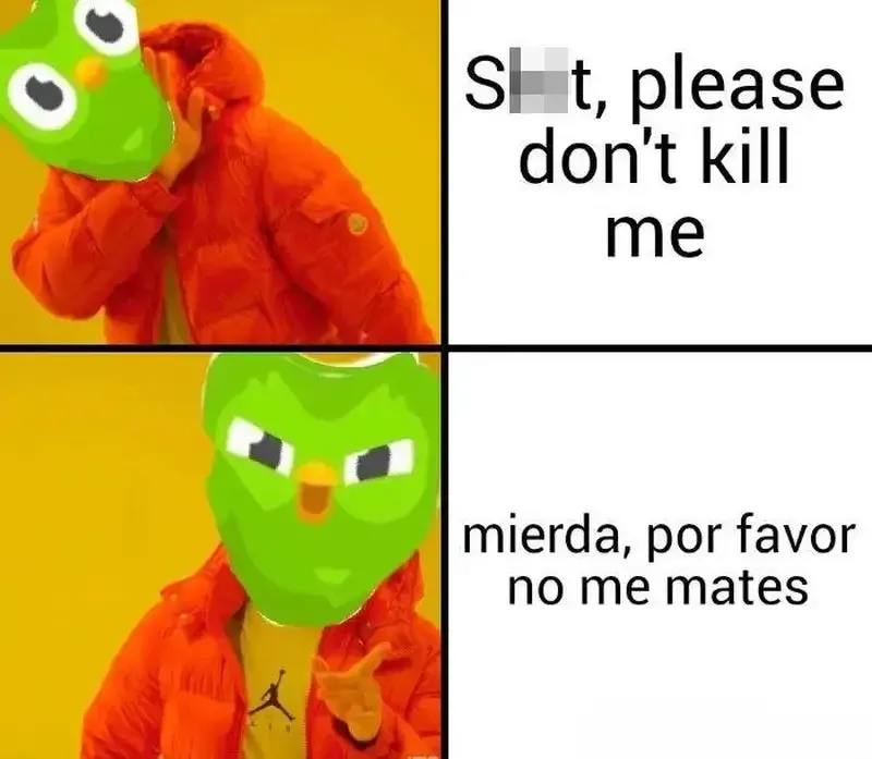 duolingo meme 27