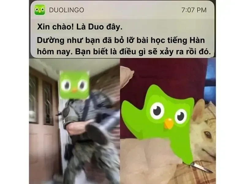 duolingo meme 29