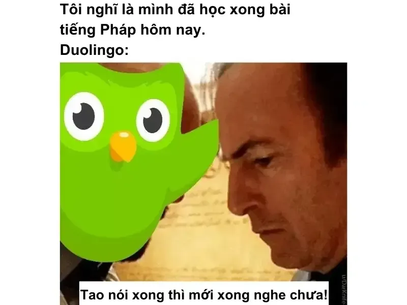 duolingo meme 33