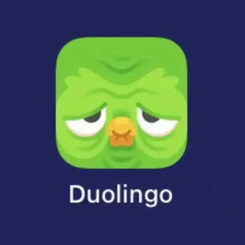 duolingo meme 39