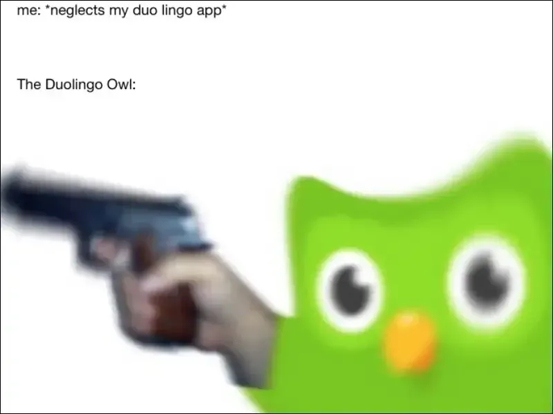 duolingo meme 45