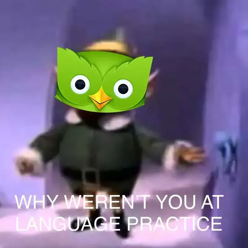 duolingo meme 67