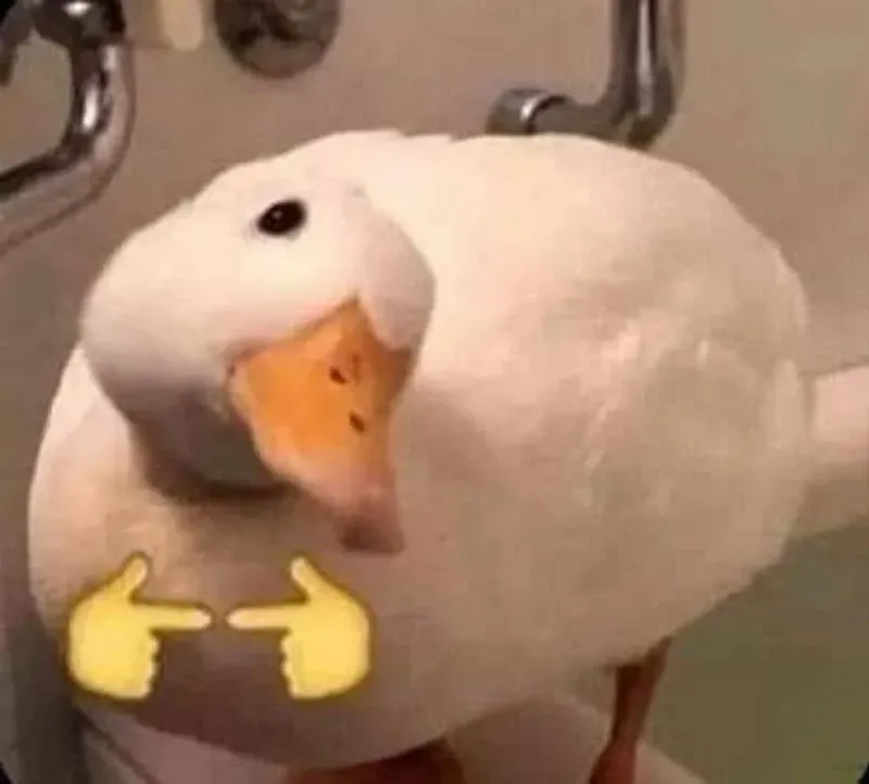 duck meme 24