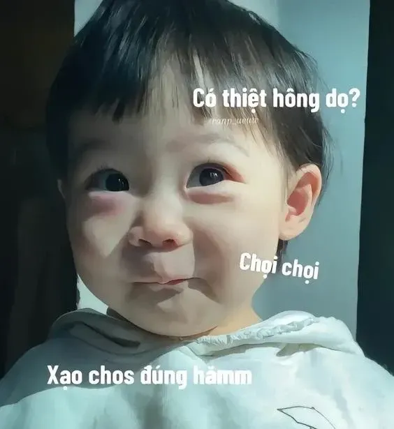 em đẹp lắm meme 7