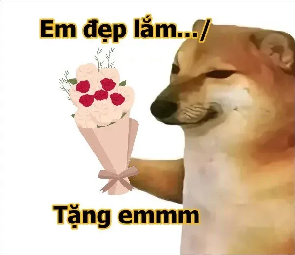 em đẹp lắm meme 29