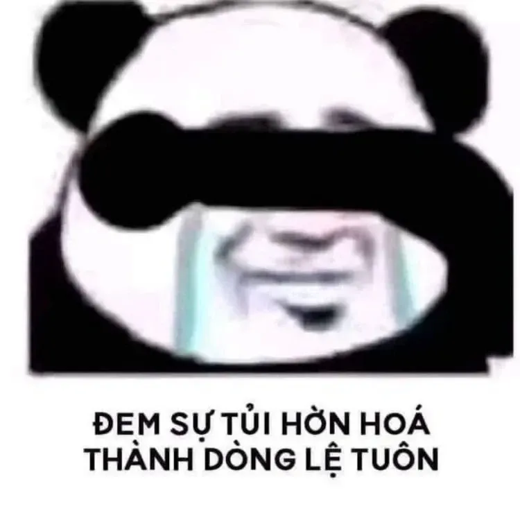 gấu trúc meme 2