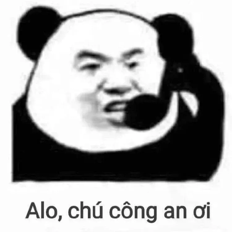 gấu trúc meme 4