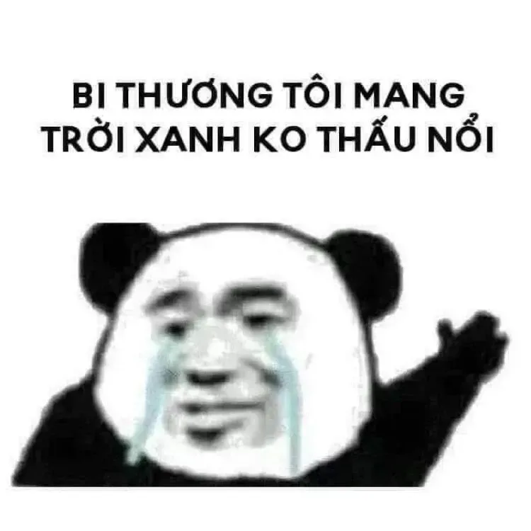 gấu trúc meme 8