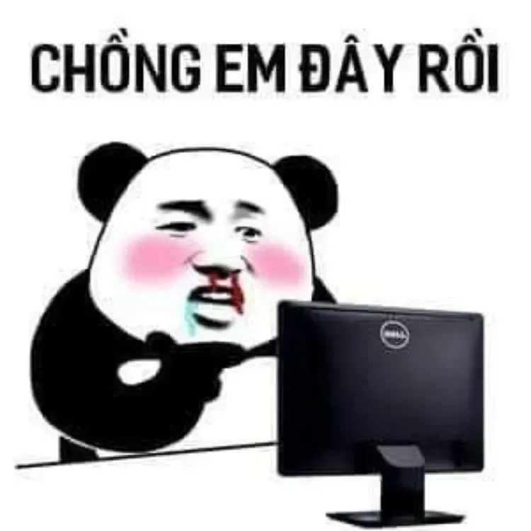 gấu trúc meme 11