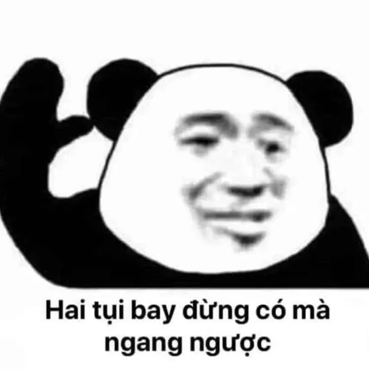 gấu trúc meme 16