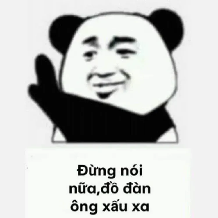 gấu trúc meme 23