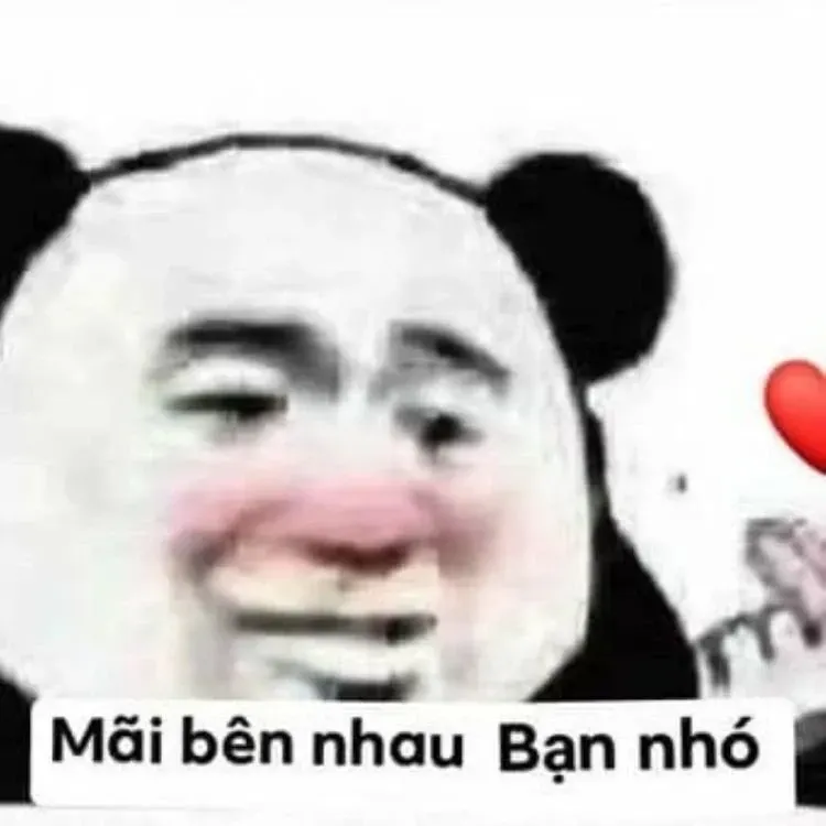 gấu trúc meme 39