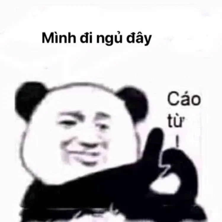 gấu trúc meme 43