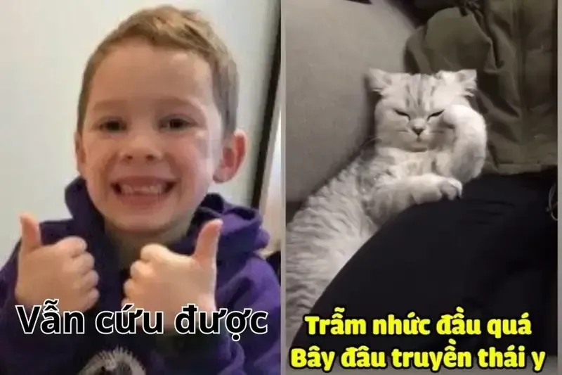 hết cứu nổi meme 33