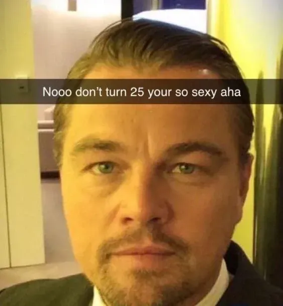 leonardo dicaprio meme 26