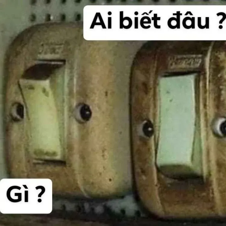 meme ai biết gì đâu 15