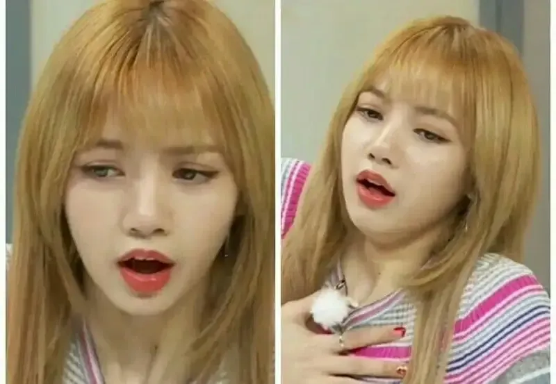 meme blackpink 8