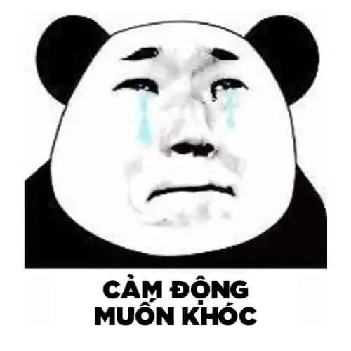 meme cảm động 15