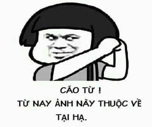 meme cáo từ 25