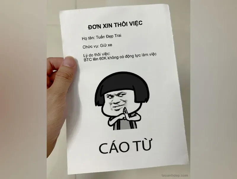 meme cáo từ 30