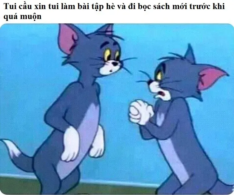 meme cầu xin 9