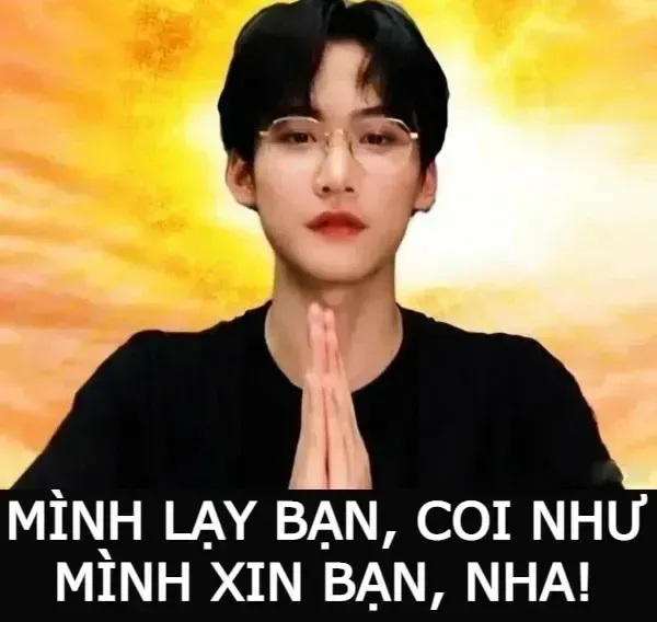 meme cầu xin 22