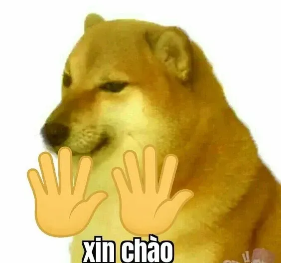 meme chào 9